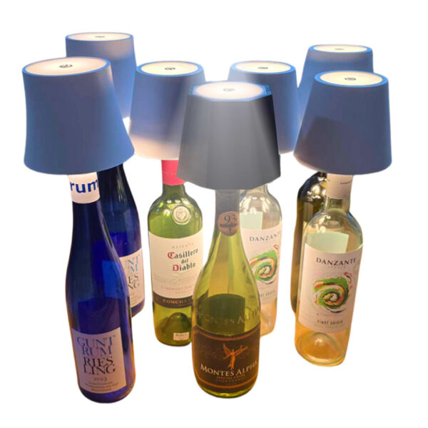 Illuminated Liquor Bottle